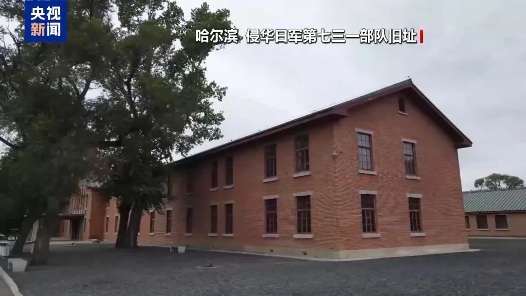 《731》将在全球多